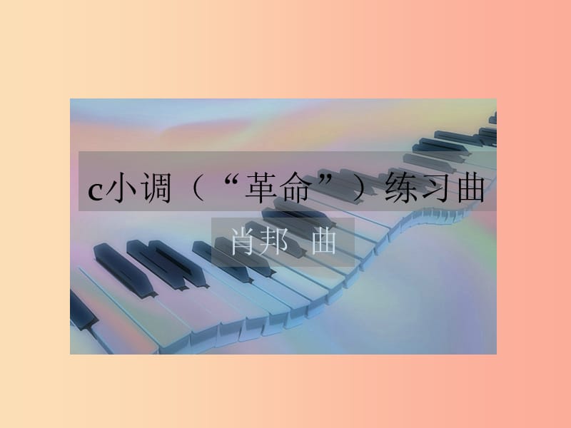 八年级音乐上册 第四单元《c小调练习曲》课件2 湘艺版.ppt_第1页