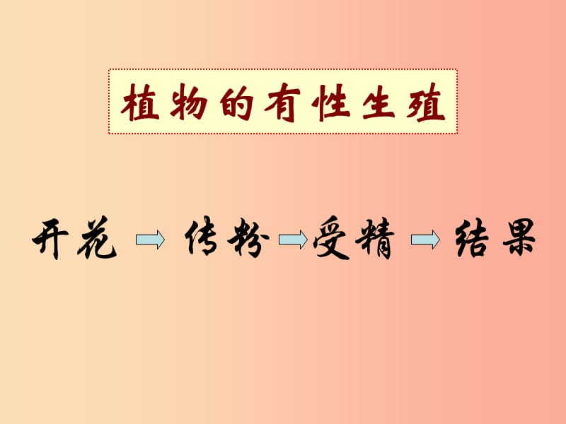 八年级生物上册 7.19.1《植物的生殖》课件2 （新版）苏科版.ppt_第3页