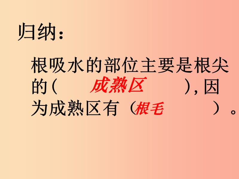 2019年七年级生物上册 3.3《绿色植物与生物圈的水循环》课件3 新人教版.ppt_第3页