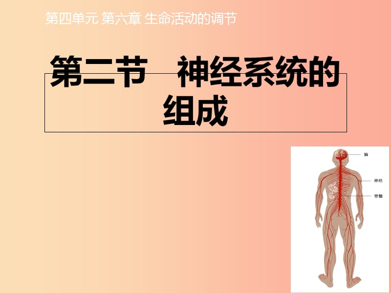 七年级生物下册4.6.2神经系统的组成课件 新人教版.ppt_第1页