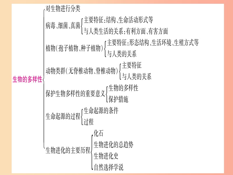 2019年中考生物 专题综合突破7 生物的多样性复习课件 冀教版.ppt_第2页