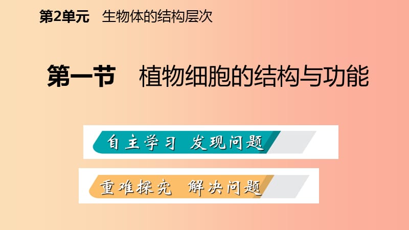 2019年七年级生物上册第二单元第三章第一节植物细胞的结构与功能课件新版苏教版.ppt_第2页