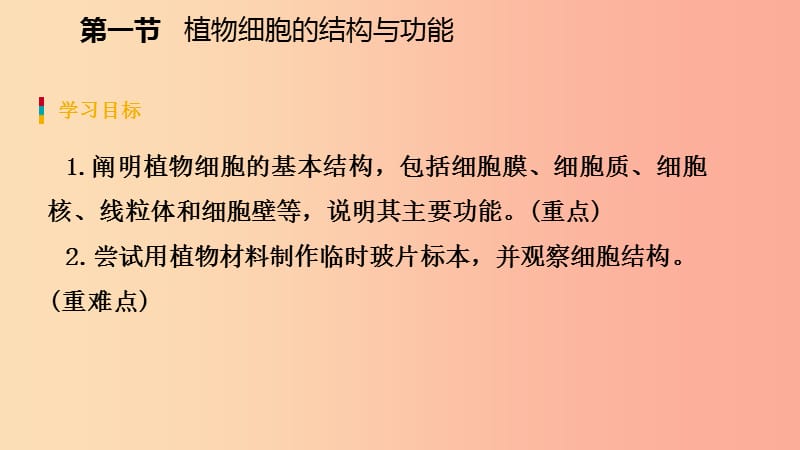 2019年七年级生物上册第二单元第三章第一节植物细胞的结构与功能课件新版苏教版.ppt_第3页