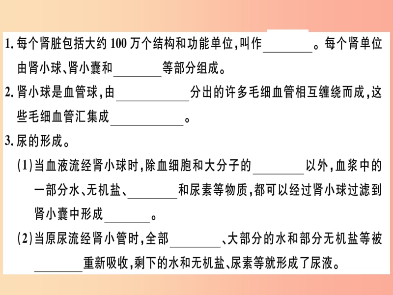 2019七年级生物下册第四单元第五章人体内废物的排出习题课件 新人教版.ppt_第3页