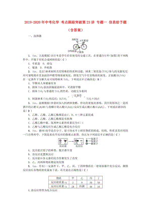 2019-2020年中考化學(xué) 考點(diǎn)跟蹤突破第23講 專題一 信息給予題（含答案）.doc