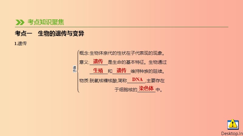 江苏省徐州市2019年中考生物复习 第六单元 生命的延续与进化 第18课时 生物的遗传与变异课件.ppt_第2页