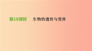 江蘇省徐州市2019年中考生物復(fù)習(xí) 第六單元 生命的延續(xù)與進(jìn)化 第18課時(shí) 生物的遺傳與變異課件.ppt