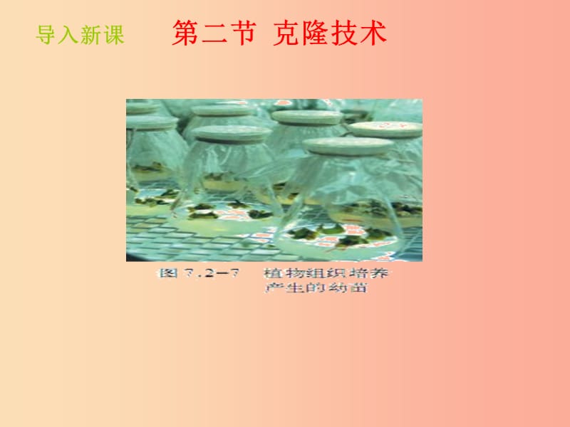 山东省八年级生物下册 7.2.2《克隆技术》课件（新版）济南版.ppt_第2页