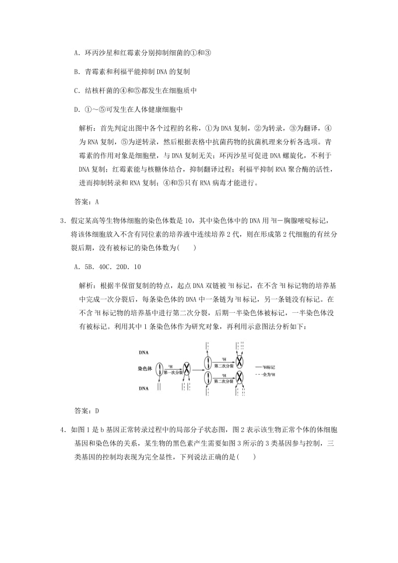 2019-2020年高考生物课后考点复习教案4 新人教版.doc_第2页