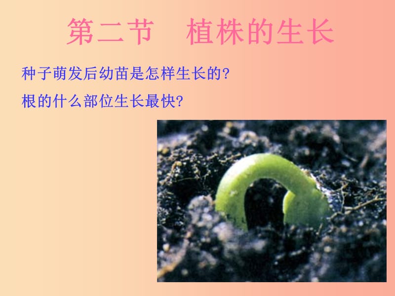 2019年七年级生物上册 3.2.2《植株的生长》课件1 新人教版.ppt_第2页