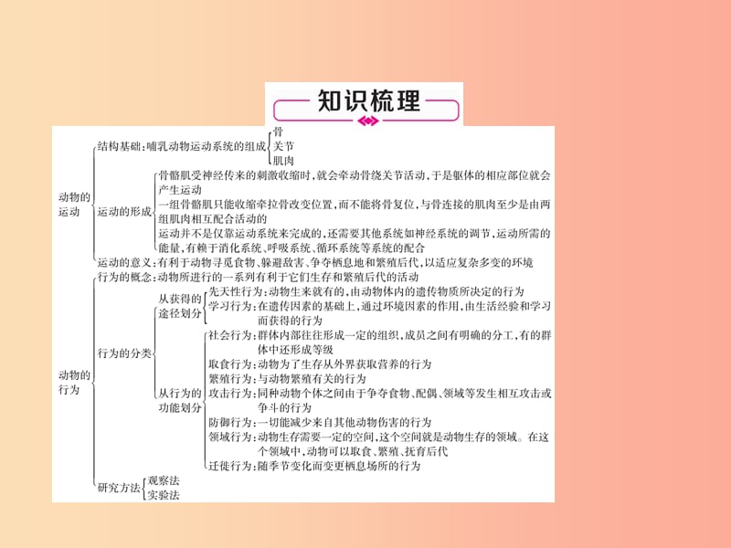 2019年八年级生物上册 专题1 生物的运动和行为练习课件 新人教版.ppt_第2页