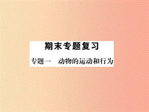 2019年八年級(jí)生物上冊(cè) 專(zhuān)題1 生物的運(yùn)動(dòng)和行為練習(xí)課件 新人教版.ppt