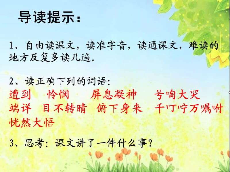 卡罗那(注重字词教学).ppt_第3页