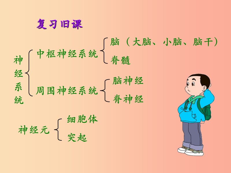 吉林省双辽市七年级生物下册 第四单元 第六章 第三节 神经调节的基本方式课件 新人教版.ppt_第1页