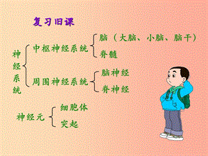 吉林省雙遼市七年級(jí)生物下冊(cè) 第四單元 第六章 第三節(jié) 神經(jīng)調(diào)節(jié)的基本方式課件 新人教版.ppt