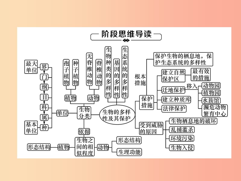 2019年八年级生物上册第6单元生物的多样性及其保护复习练习课件 新人教版.ppt_第1页