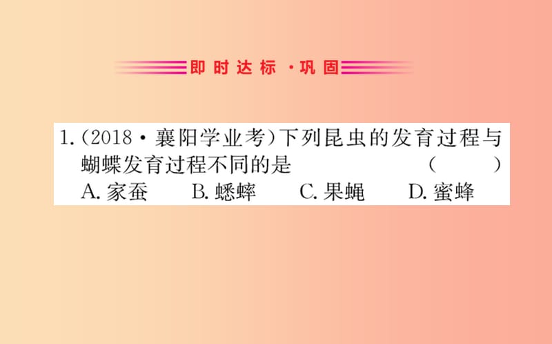 八年级生物下册 第七单元 生物圈中生命的延续和发展 第一章 生物的生殖和发育 2 昆虫的生殖和发育训练 .ppt_第2页