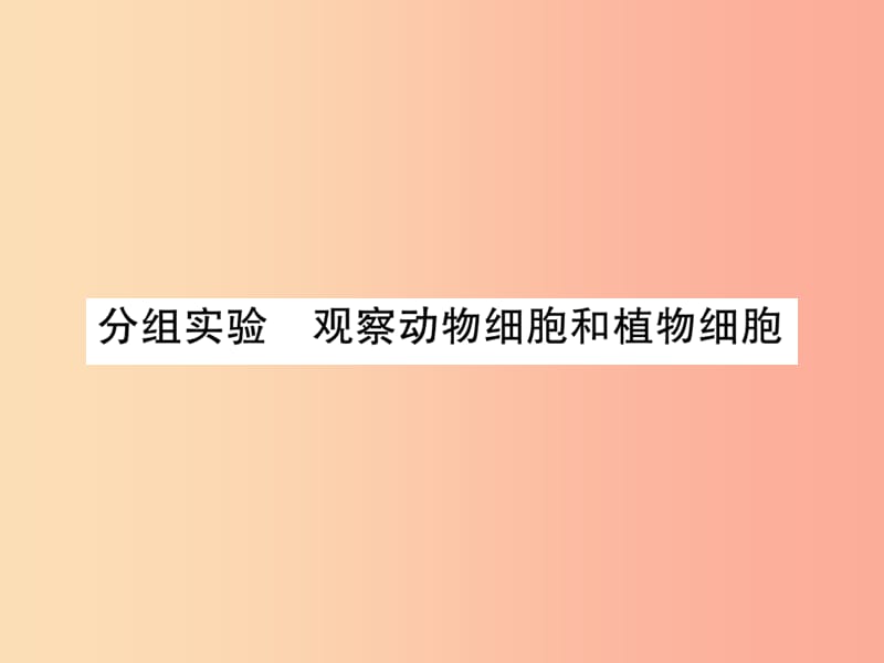 2019年秋七年级科学上册 第2章 观察生物 分组实验 观察动物细胞和植物细胞课件（新版）浙教版.ppt_第1页