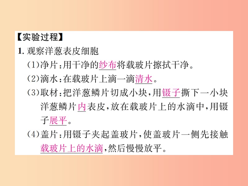 2019年秋七年级科学上册 第2章 观察生物 分组实验 观察动物细胞和植物细胞课件（新版）浙教版.ppt_第3页