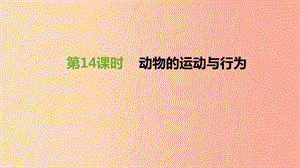 江蘇省徐州市2019年中考生物復習 第五單元 生命活動的調(diào)節(jié)和生態(tài)系統(tǒng)的穩(wěn)定 第14課時 動物的運動與行為.ppt