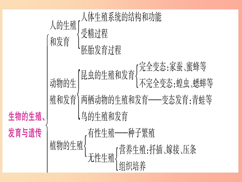 2019年中考生物 专题综合突破6 生物的生殖 发育与遗传复习课件 冀教版.ppt_第2页