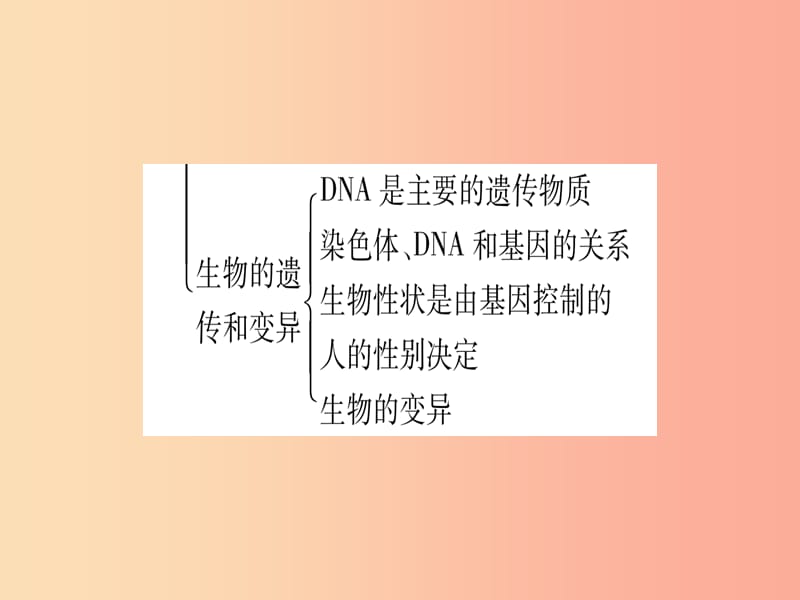 2019年中考生物 专题综合突破6 生物的生殖 发育与遗传复习课件 冀教版.ppt_第3页