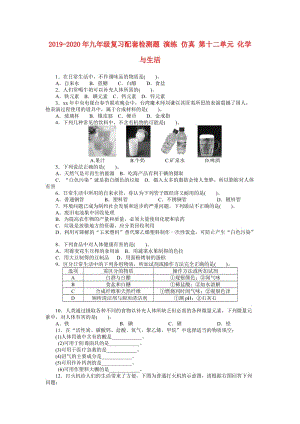 2019-2020年九年级复习配套检测题 演练 仿真 第十二单元 化学与生活.doc