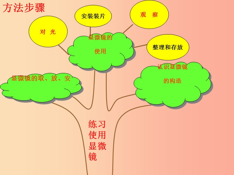 山东省七年级生物上册 1.1.4生物学的研究工具课件（新版）济南版.ppt_第3页