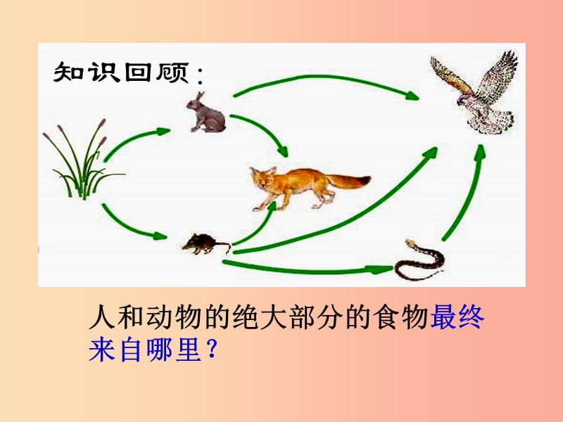 2019年七年级生物上册 3.4《绿色植物是生物圈中有机物的制造者》课件4 新人教版.ppt_第1页