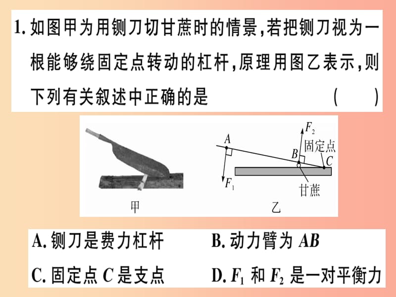 八年级物理全册 第十章 第一节 科学探究 杠杆的平衡条件（第2课时 杠杆平衡条件的应用）习题 沪科版 (2).ppt_第1页