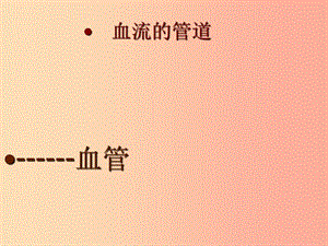 安徽省七年级生物下册4.4.2血流的管道_血管课件3 新人教版.ppt