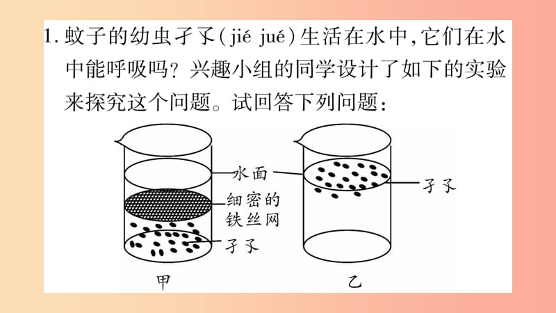 2019秋七年级生物上册实验专项训练习题课件（新版）北师大版.ppt_第2页