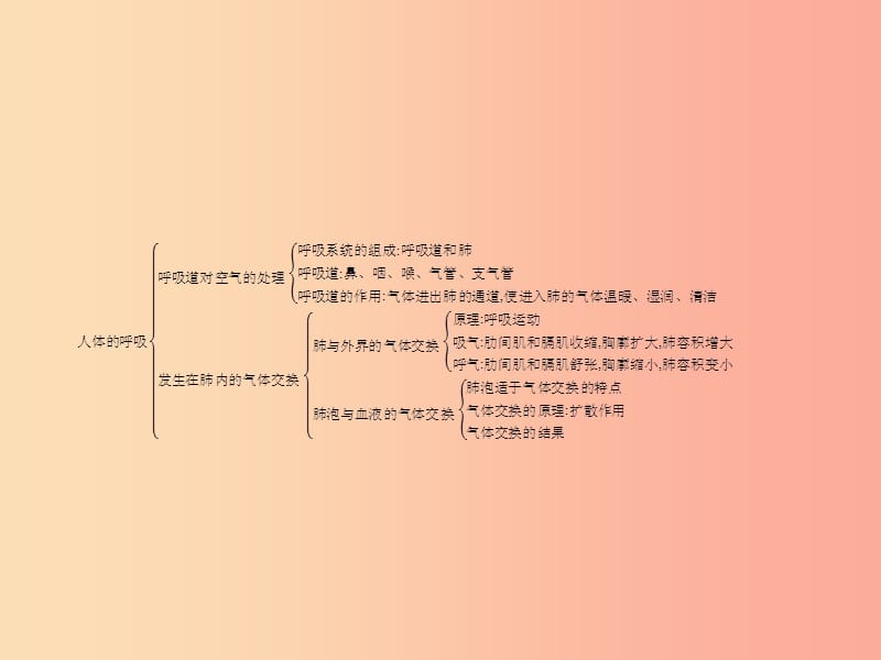 2019年春七年级生物下册 第二章 人体的营养、第三章 人体的呼吸整合课件 新人教版.ppt_第3页