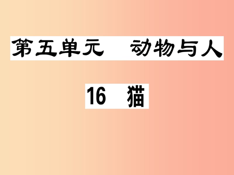 广东专版2019年七年级语文上册第五单元16猫习题讲评课件新人教版.ppt_第1页