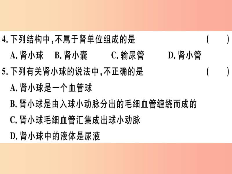 2019七年级生物下册 第四单元 第五章 人体内废物的排出检测卷课件 新人教版.ppt_第3页