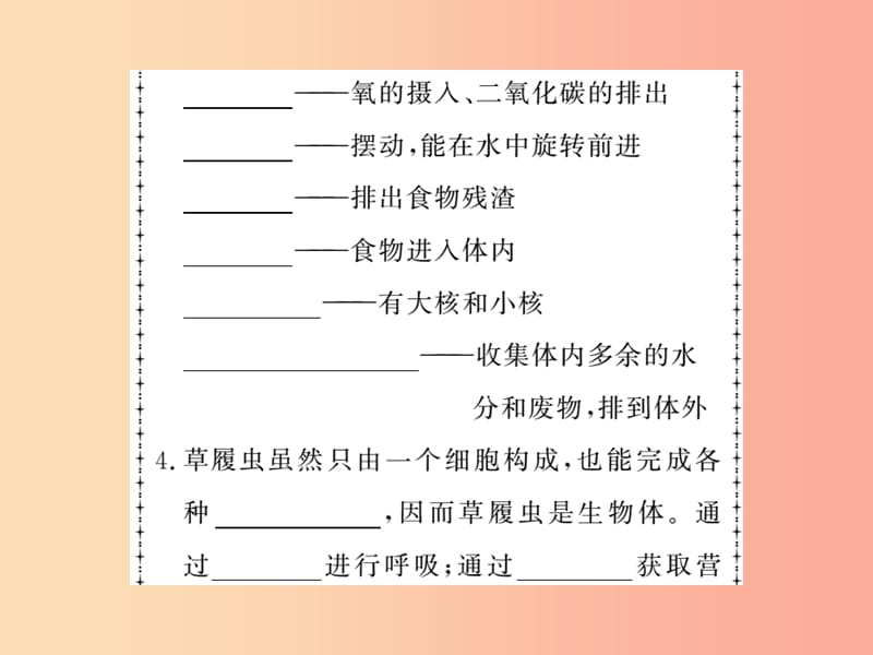 2019年七年级生物上册 第2单元 第2章 第四节 单细胞生物习题课件 新人教版.ppt_第3页