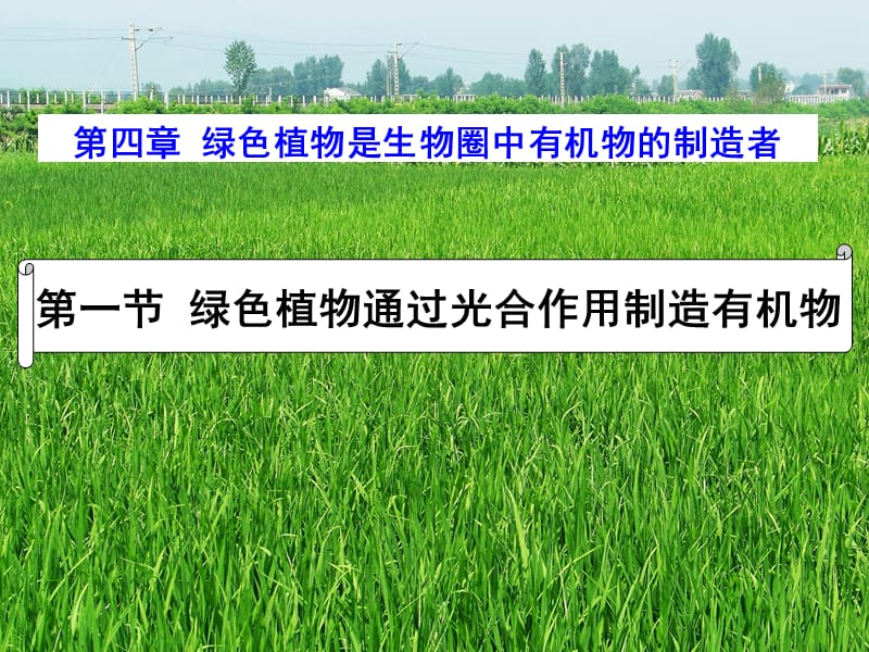 广东省汕头市七年级生物上册 第三单元 第四章 绿色植物是生物圈中有机物的制造者课件 新人教版.ppt_第1页