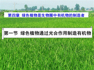 廣東省汕頭市七年級生物上冊 第三單元 第四章 綠色植物是生物圈中有機物的制造者課件 新人教版.ppt