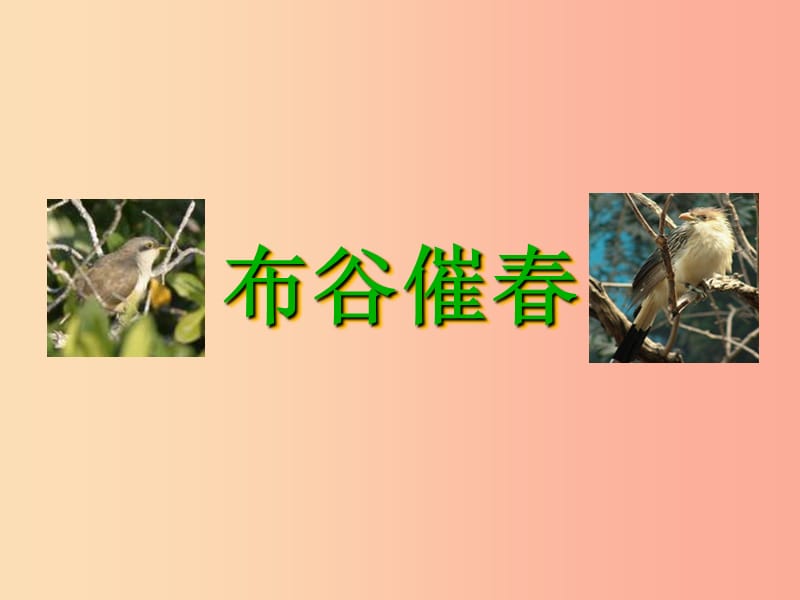 九年级音乐上册 第3单元 欣赏《布谷催春》课件 人音版.ppt_第1页