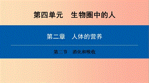 2019年七年級(jí)生物下冊(cè) 第四單元 第二章 第二節(jié) 消化和吸收課件 新人教版.ppt