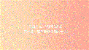 山東省2019年中考生物總復習 第四單元 物種的延續(xù) 第一章 綠色開花植物的一生課件.ppt