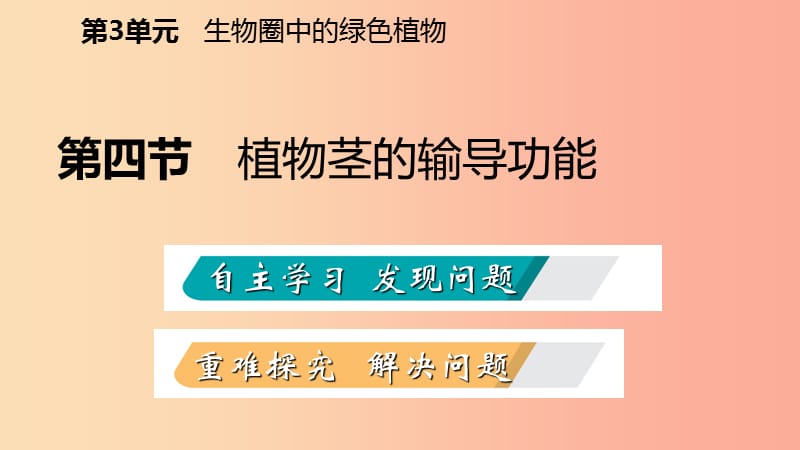 2019年七年级生物上册 第三单元 第五章 第四节 植物茎的输导功能课件（新版）苏教版.ppt_第2页