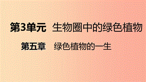 2019年七年級生物上冊 第三單元 第五章 第四節(jié) 植物莖的輸導(dǎo)功能課件（新版）蘇教版.ppt