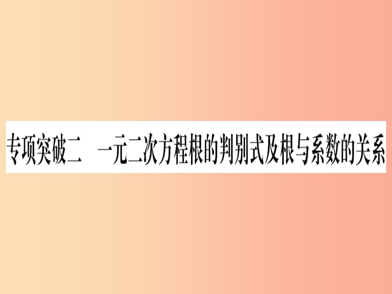 2019中考数学总复习 第2轮 中档题突破 专项突破2 一元一次方程根的判别式及与系数的关系习题课件.ppt_第1页