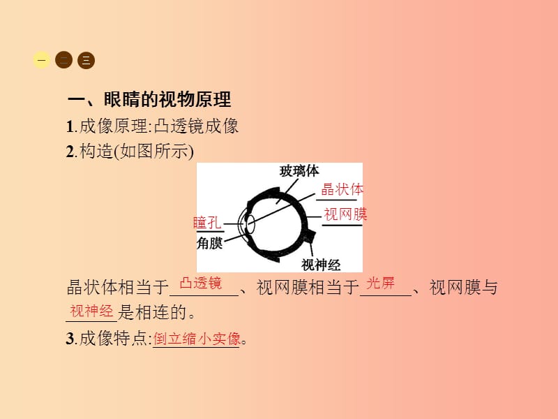 八年级物理全册4.6神奇的眼睛习题课件新版沪科版.ppt_第2页