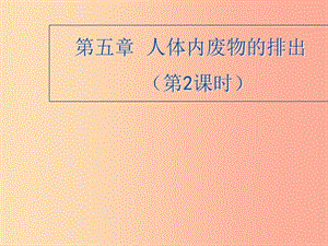 七年級(jí)生物下冊(cè) 4.5《人體內(nèi)廢物的排出》第二課時(shí)課件2 新人教版.ppt