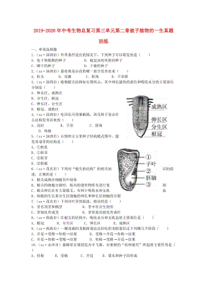 2019-2020年中考生物總復習第三單元第二章被子植物的一生真題回練.doc