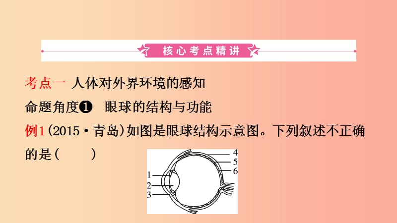 山东省2019年中考生物总复习 第四单元 生物圈中的人 第六 七章课件.ppt_第2页