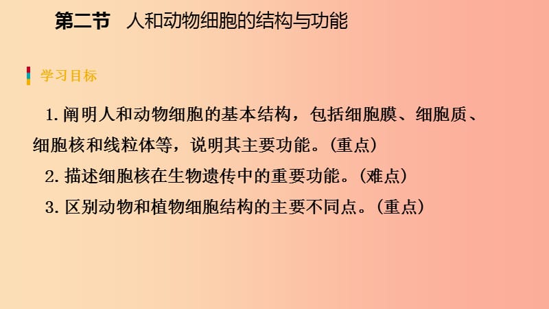 2019年七年级生物上册 第二单元 第三章 第二节 人和动物细胞的结构与功能更课件（新版）苏教版.ppt_第3页