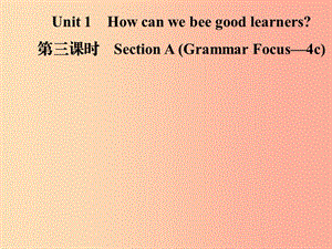 九年級(jí)英語全冊 Unit 1 How can we become good learners（第3課時(shí)）Section A（Grammar Focus-4c） 新人教版.ppt